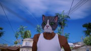 Cat mask (GTA V Online) для GTA San Andreas миниатюра 1