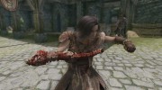 Master of Weapons - All in One 1-20 para TES V: Skyrim miniatura 4
