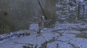 Beast Skeletons для TES V: Skyrim миниатюра 2