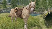 player horse для TES V: Skyrim миниатюра 1