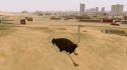 Играть за животных (Возможность из GTA V) для GTA San Andreas миниатюра 2