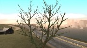 Vegetation Off by JustiN для GTA San Andreas миниатюра 5