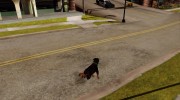 Играть за животных (Возможность из GTA V) для GTA San Andreas миниатюра 17