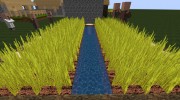 Life HD for Minecraft miniature 4