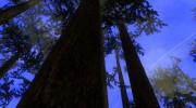 Natural Vegetation for GTA San Andreas miniature 5