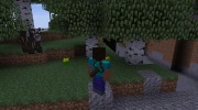 Back Tools for Minecraft miniature 7