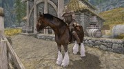 A Clydesdale Named Boxer for TES V: Skyrim miniature 2