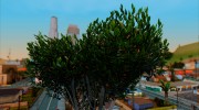 FreezIns Vibrant ENB 0.306 для GTA San Andreas миниатюра 3