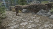 The Archers Arsenal - Special Arrows and More for TES V: Skyrim miniature 9