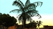 Original Palms HD Leaf Texture (Low PC) для GTA San Andreas миниатюра 8