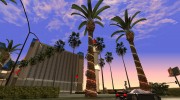 Beautiful Insanity Vegetation Update 1.0 Light Palm Trees From GTA V для GTA San Andreas миниатюра 18