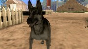 Пёс для GTA San Andreas миниатюра 1