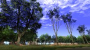 Beautiful Insanity Vegetation Update 1.0 Light Palm Trees From GTA V para GTA San Andreas miniatura 28