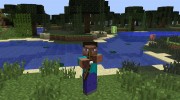 Animated Player for Minecraft miniature 6