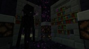 Hardcore Ender Expansion for Minecraft miniature 4