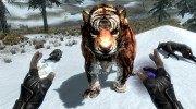 Summon Big Cats Mounts and Followers 2.2 for TES V: Skyrim miniature 17