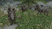 Summon Dragonborn Mounts and Followers for TES V: Skyrim miniature 1
