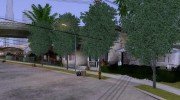 Деревья на Groove Street для GTA San Andreas миниатюра 3