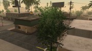 SA Vegetation Pack RELOADED for GTA San Andreas miniature 6