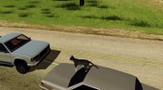 Играть за животных (Возможность из GTA V) для GTA San Andreas миниатюра 4