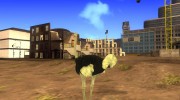 Ostrich From Goat Simulator для GTA San Andreas миниатюра 2