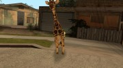 Giraffe para GTA San Andreas miniatura 3