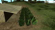 Наркопритон для GTA San Andreas миниатюра 8