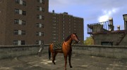 Лошадь для GTA 4 миниатюра 1