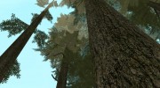 Beautiful vegetation для GTA San Andreas миниатюра 6