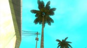 Real palms v2.0 для GTA San Andreas миниатюра 2