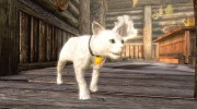 Pets Kingdom для TES V: Skyrim миниатюра 2