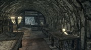 Комната под мостом для TES V: Skyrim миниатюра 3