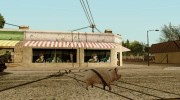 Играть за животных (Возможность из GTA V) para GTA San Andreas miniatura 10