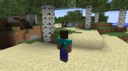 Back Tools for Minecraft miniature 3