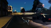 Играть за животных (Возможность из GTA V) para GTA San Andreas miniatura 3