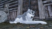 Summon Huskies and Co - Mounts and Followers для TES V: Skyrim миниатюра 1