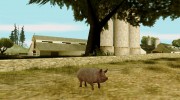 Играть за животных (Возможность из GTA V) для GTA San Andreas миниатюра 6