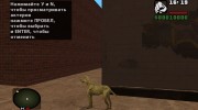 Слепой пес из S.T.A.L.K.E.R v.5 for GTA San Andreas miniature 3