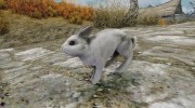Pets Kingdom for TES V: Skyrim miniature 9