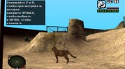 Кошка из S.T.A.L.K.E.R для GTA San Andreas миниатюра 3