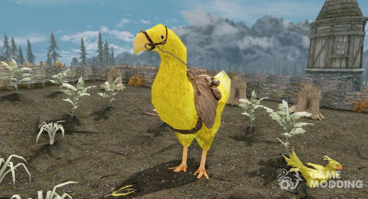 Chocobos Mounts and Followers