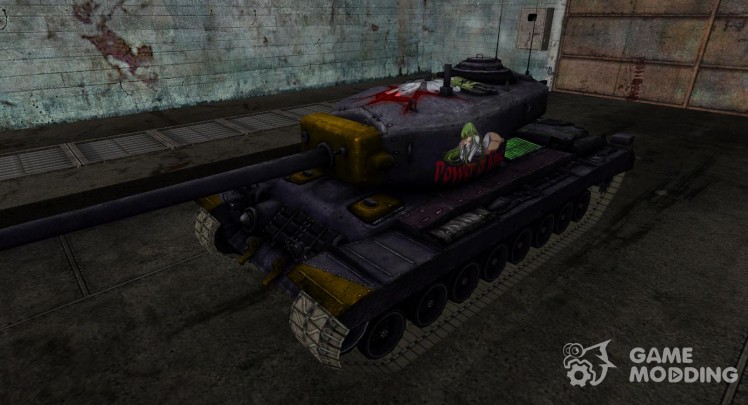 Skin for T30