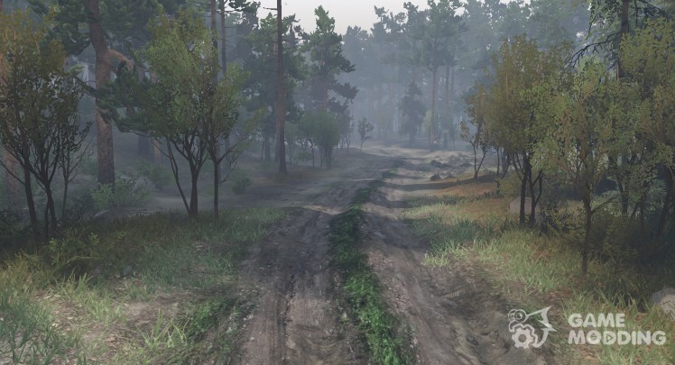 Mud texture and forest roads