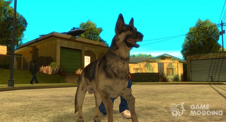 Собака в GTA San Andreas