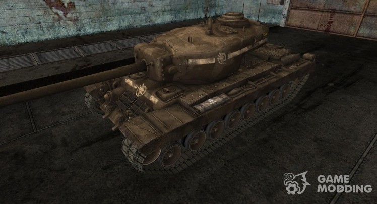 Skin for T30