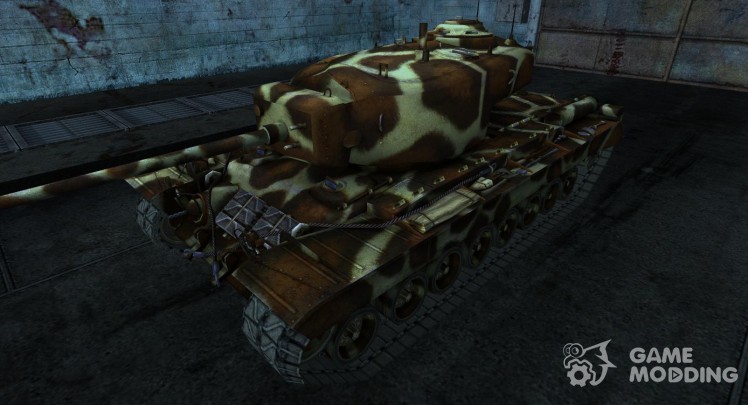 Skin for T29