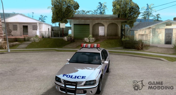 The police of GTA4