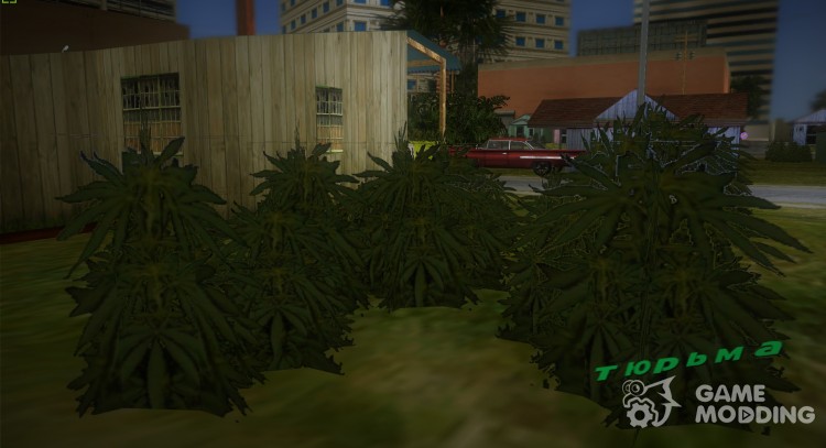Cannabis для GTA Vice City