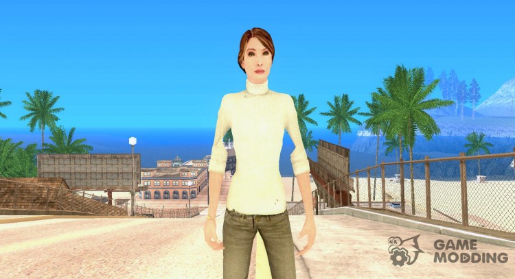 Brin's Assistant for GTA San Andreas