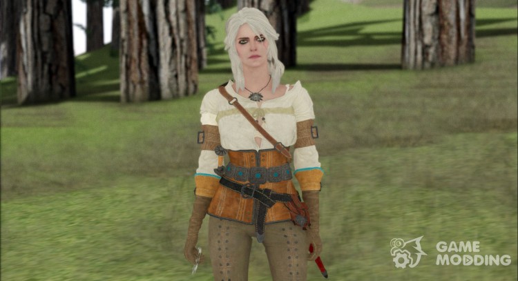 From CIRI Witcher 3 Retextured for GTA San Andreas